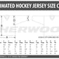 Sublimated Reversible Hockey Jersey -  Your Design